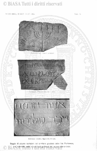 s. 2, n. 26 (1892-1893) - Pagina: 601