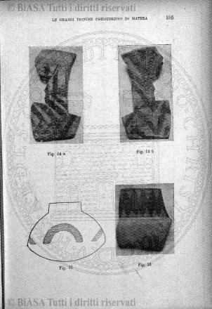 v. 11, n. 63 (1900) - Copertina: 1