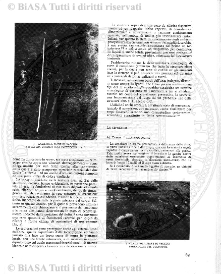 n. 3 (1931) - Pagina: 29