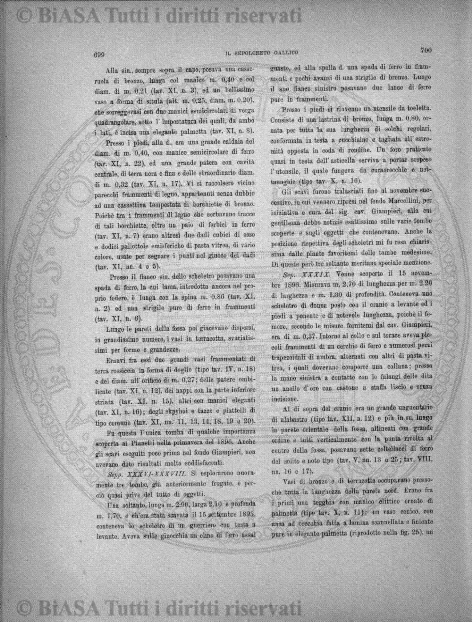 n. 11 (1885) - Pagina: 21