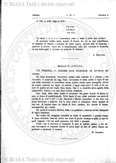 s. 3, n. 7 (1893) - Pagina: 97