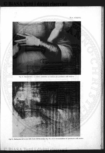 v. 3, n. 7 (1868) - Pagina: 153