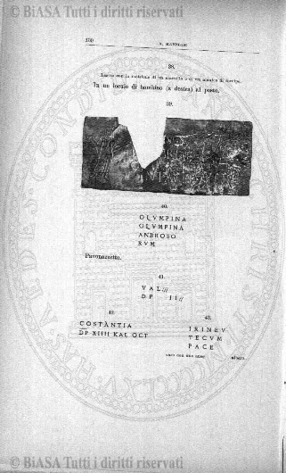 n. 7 (1925-1926) - Pagina: 347