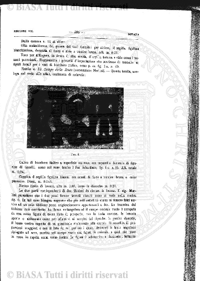 n. 5 (1858) - Pagina: 81