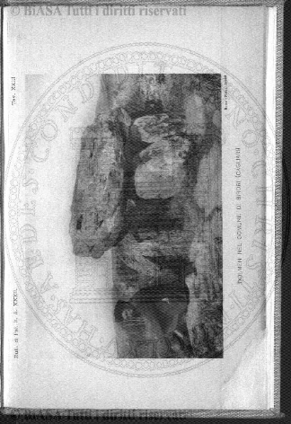 s. 2, n. 13 (1890-1891) - Copertina: 1
