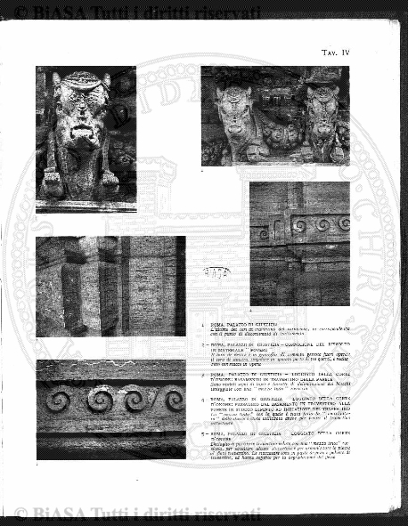 s. 2, n. 39-40 (1887-1888) - Pagina: 1