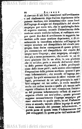 n. 19 (1901) - Frontespizio