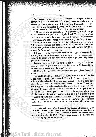 n. 9 (1928-1929) - Pagina: 217 e sommario