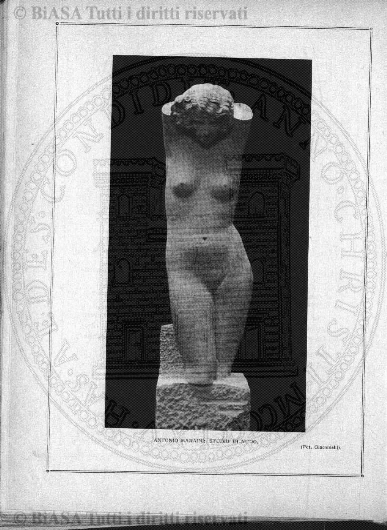 n. 19 (1888) - Pagina: 145 e sommario