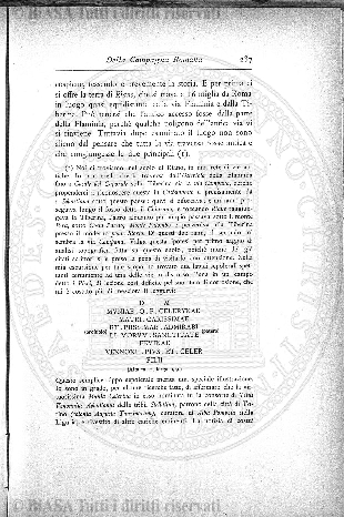 n. 42 (1894) - Frontespizio