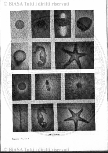 v. 7, n. 7 (1842-1843) - Pagina: 53