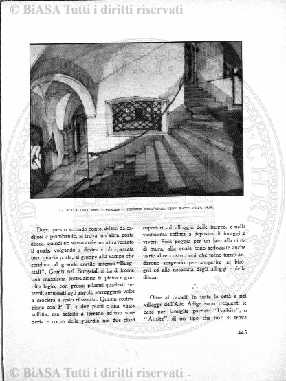 v. 6, n. 17 (1841-1842) - Pagina: 133