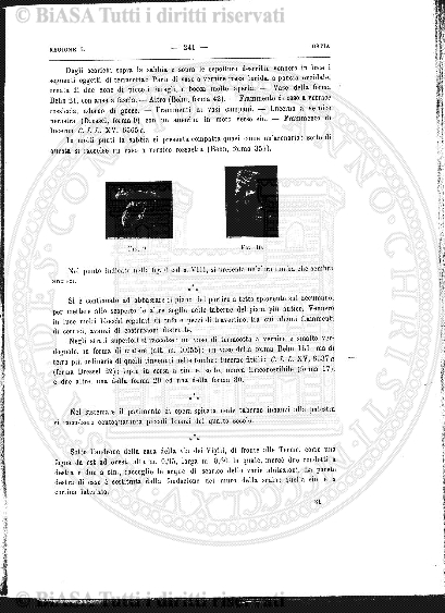 s. 8, v. 29, n. 2 (1987) - Copertina: 1