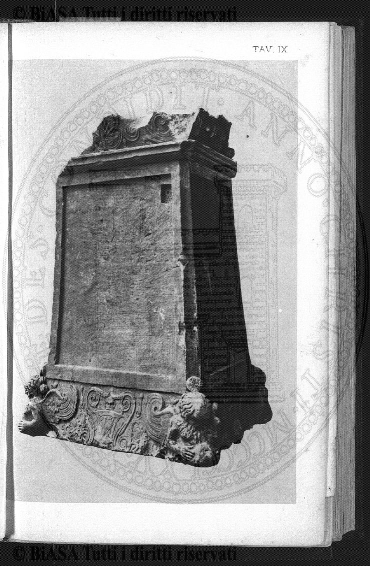 v. 2, n. 7 (1877) - Pagina: 273