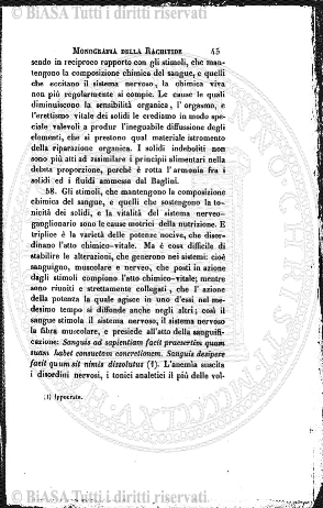 s. 5 (1892) - Occhietto