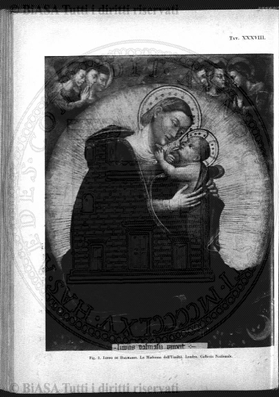 n. 6 (1932) - Pagina: 241