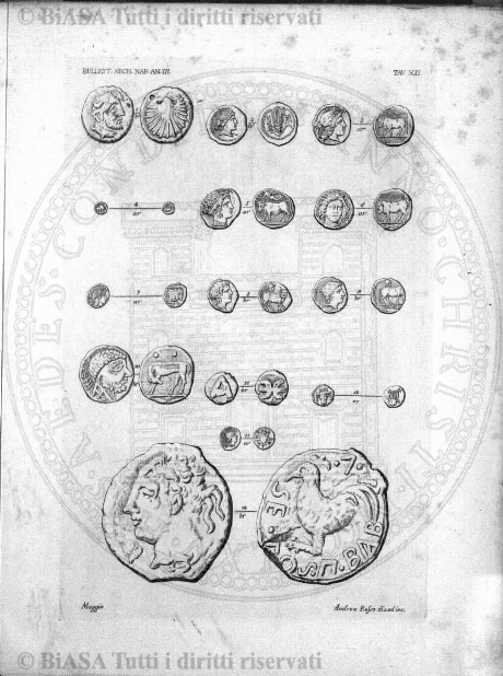 n.s., n. 6 (1852-1853) - Pagina: 41