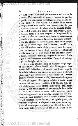 n. 3 (1879) - Pagina: 5