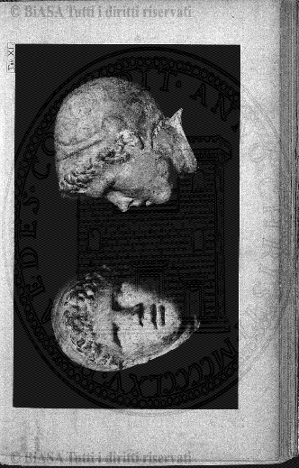 v. 1, n. 5 (1892) - Pagina: 65