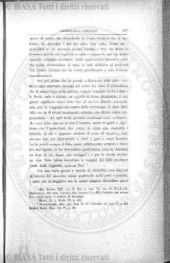 v. 1, n. 6 (1892) - Pagina: 81