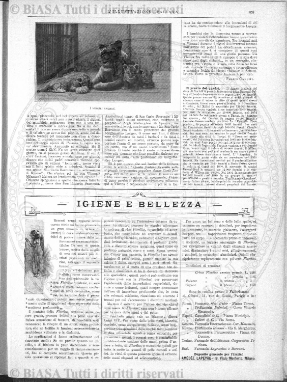 v. 30, n. 176 (1909) - Pagina: 81