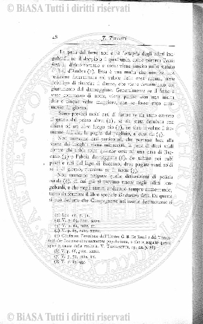 v. 17, n. 49 (1790-1791) - Pagina: 385
