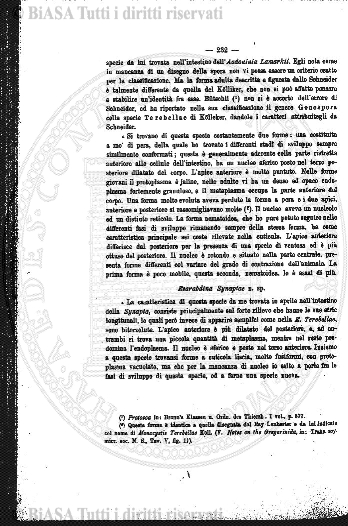 s. 6, n. 60, allegato (1990) - Copertina: 1