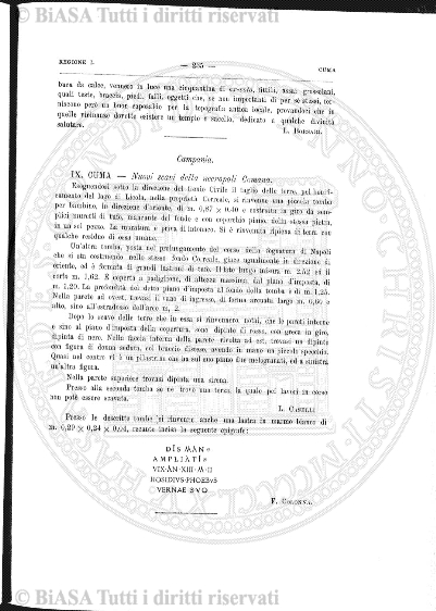 n. 11 (1911) - Pagina: 393