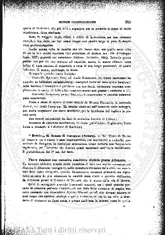 v. 9, n. 35 (1782-1783) - Pagina: 283