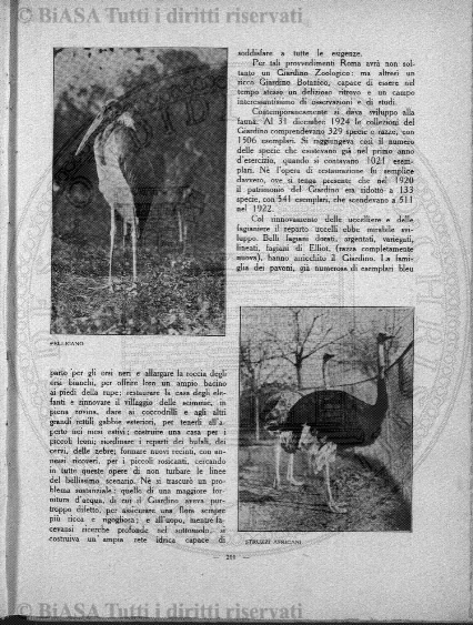 n. 25 (1785) - Pagina: 193