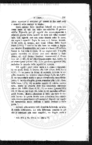 n. 11 (1923-1924) - Pagina: 481