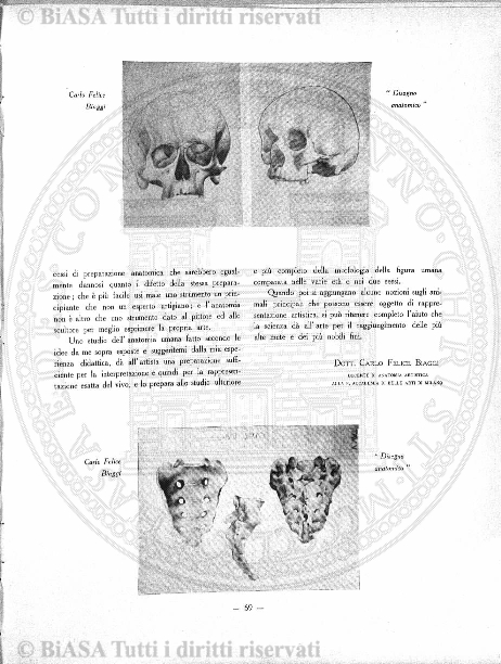 n. 33-34 (1874-1875) - Sommario: p. 257