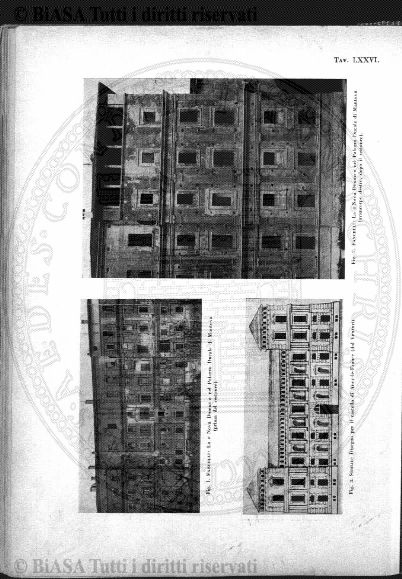 v. 7, n. 19 (1842-1843) - Pagina: 149