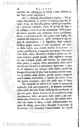 v. 33, n. 194 (1911) - Pagina: 82