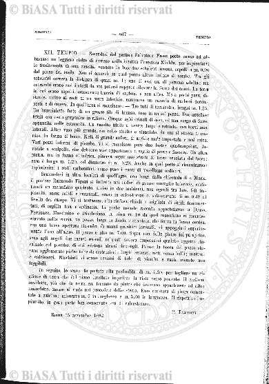 v. 19, n. 19 (1852-1853) - Pagina: 145