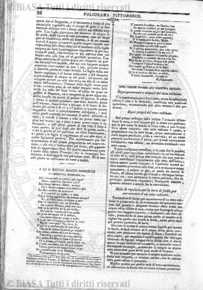 s. 2, n. 26 (1892-1893) - Pagina: 601