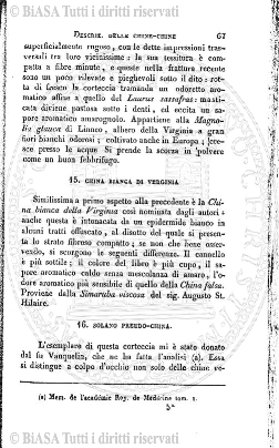 v. 2, n. 3 (1835-1836) - Pagina: 17