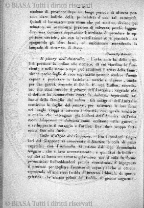 s. 3, n. 25 (1894) - Pagina: 385