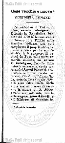 s. 3, n. 15 (1893) - Pagina: 225