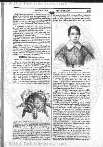 n. 34 (1900) - Frontespizio