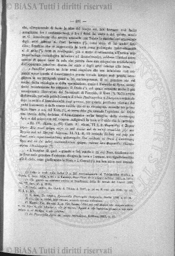 n. 6 (1884) - Pagina: 11