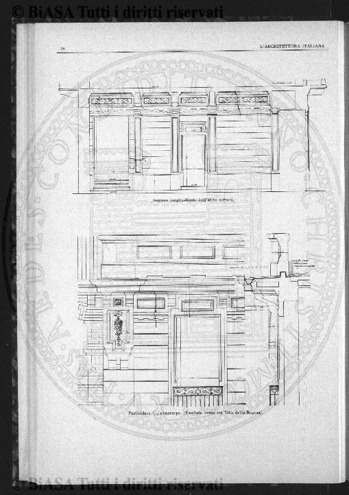 s. 3, n. 5 (1894) - Pagina: 65