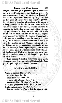 n. 24 (1890-1891) - Pagina: XXXIII