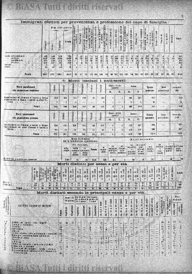 Indici (1888-1889) - Frontespizio