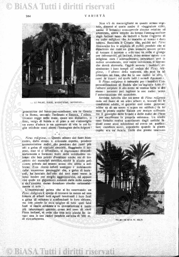 n. 9 (1863) - Pagina: 65