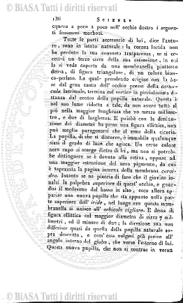 v. 8, n. 1 (1910) - Copertina: 1