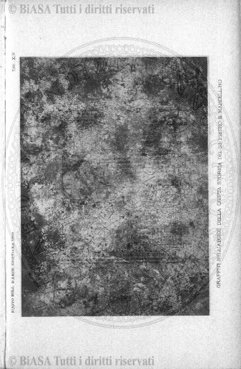 n. 24 (1846-1847) - Pagina: 185
