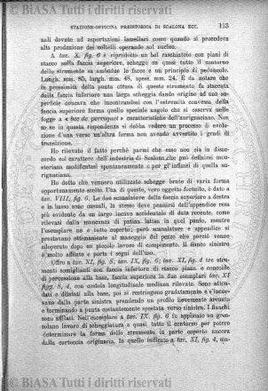 v. 13, n. 47 (1846-1847) - Pagina: 389