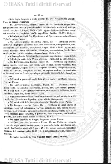 v. 3, n. 11 (1845) - Pagina: 321