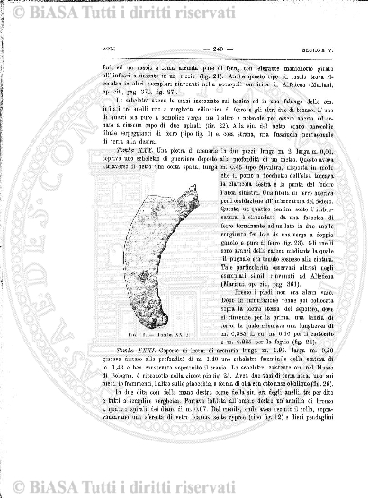 v. 2, n. 6 (1868) - Sommario: p. 81